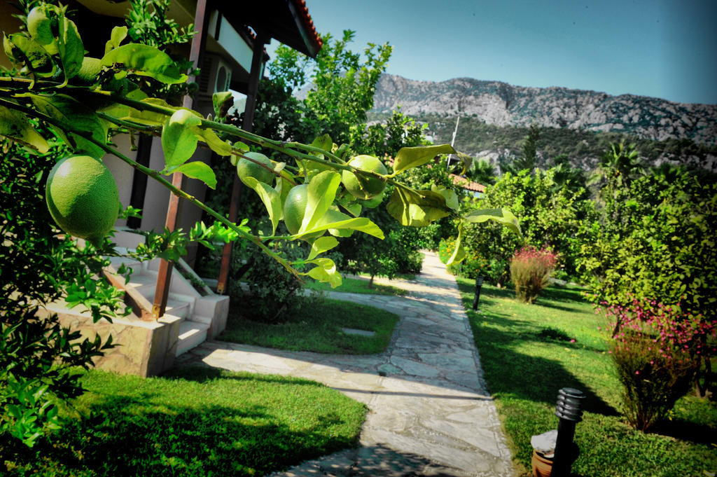 Nerissa Hotel Çıralı エクステリア 写真