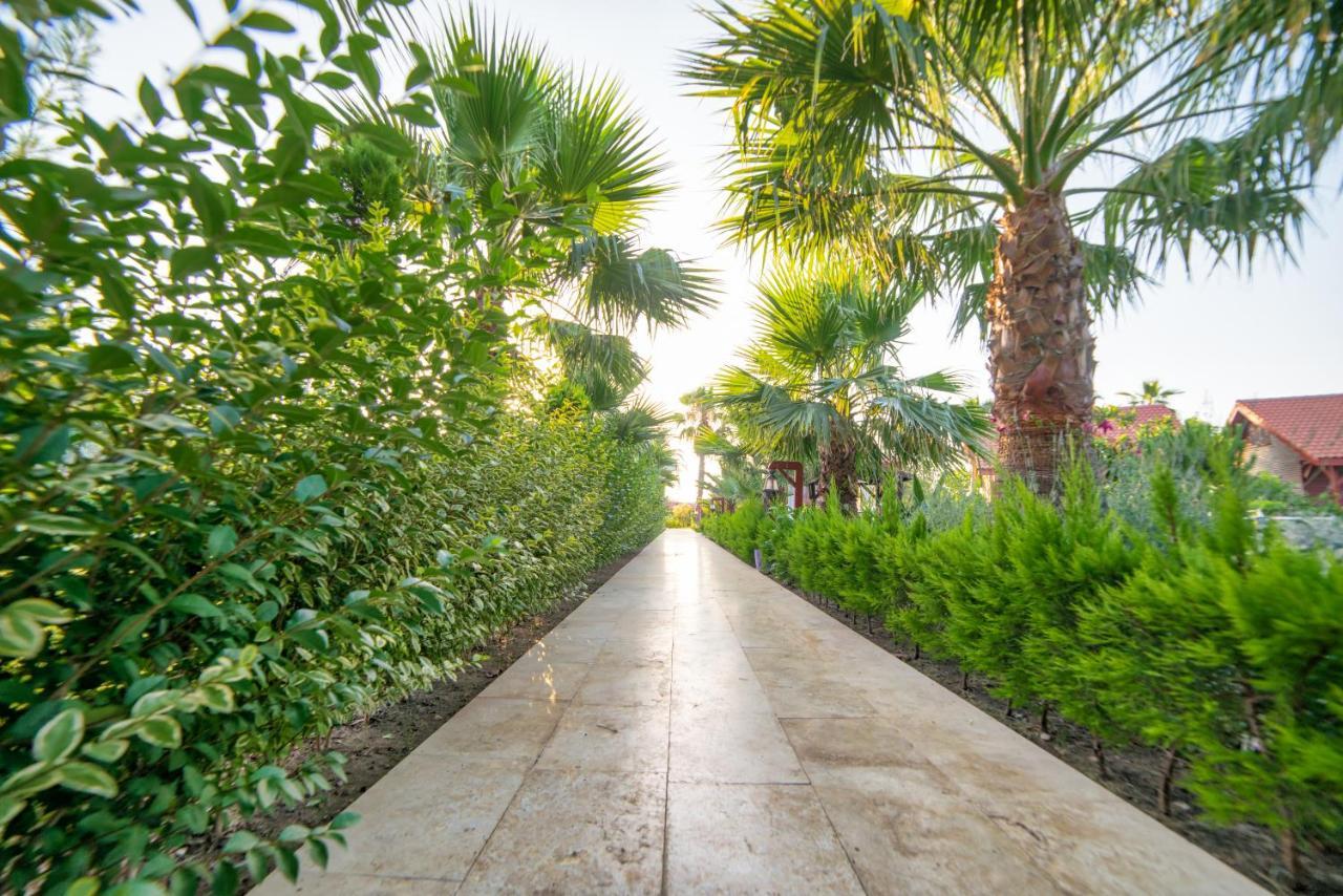 Nerissa Hotel Çıralı エクステリア 写真